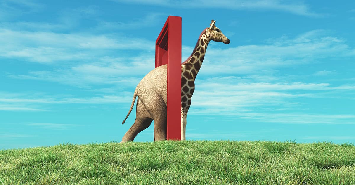 Empowering Change and Thriving