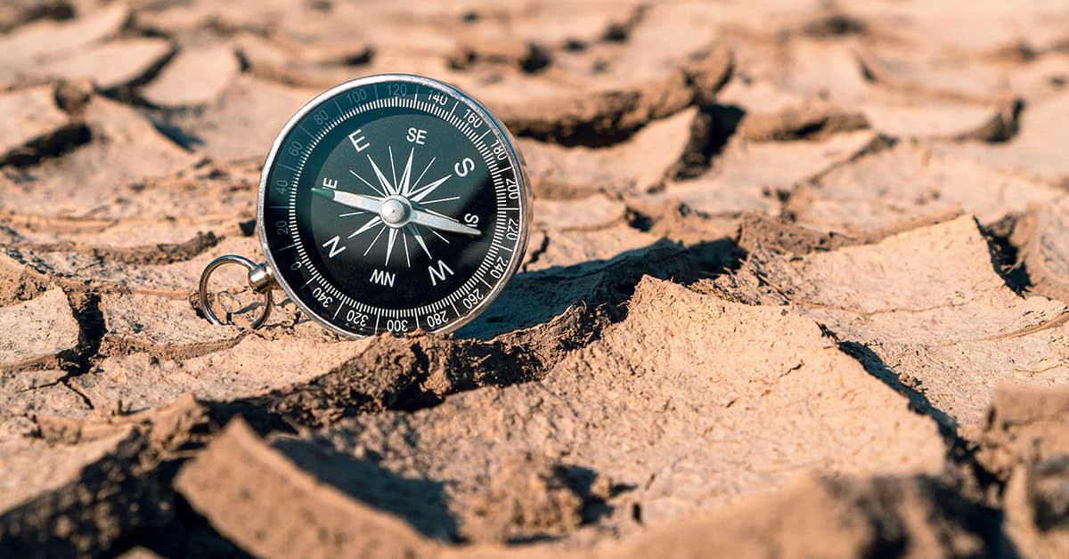 Navigating the Talent Drought